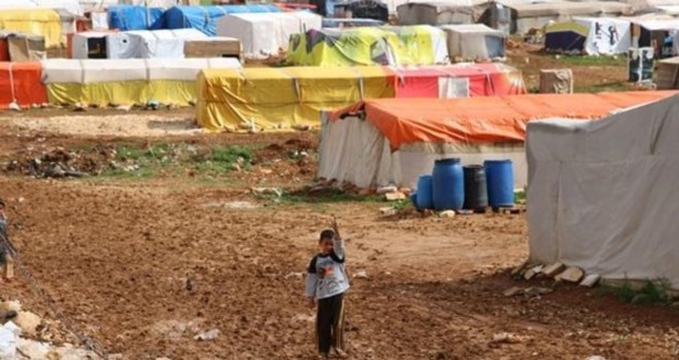syrian