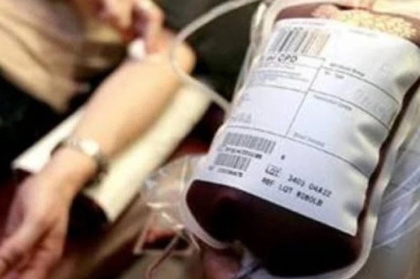 ​359 vjet nga transfuzioni i parë i gjakut