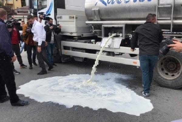 Fermerët hedhin qumështin në lum e rrugë pas uljes së çmimit