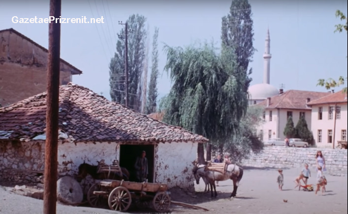 Prizreni dikur : Mullini