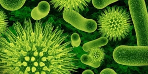 ALARMANTNO: Svijetom se širi bakterija od koje nema lijeka
