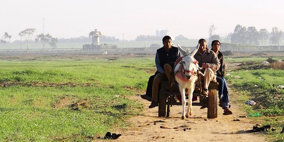 gaza-farmers